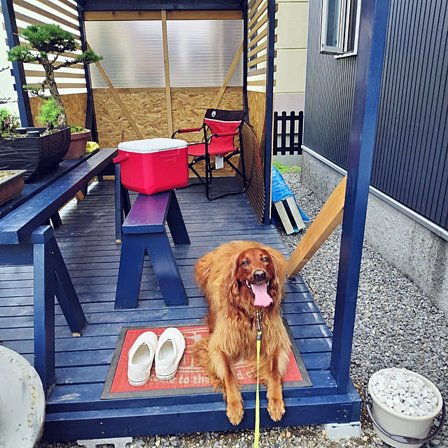 mika.さんの実例写真