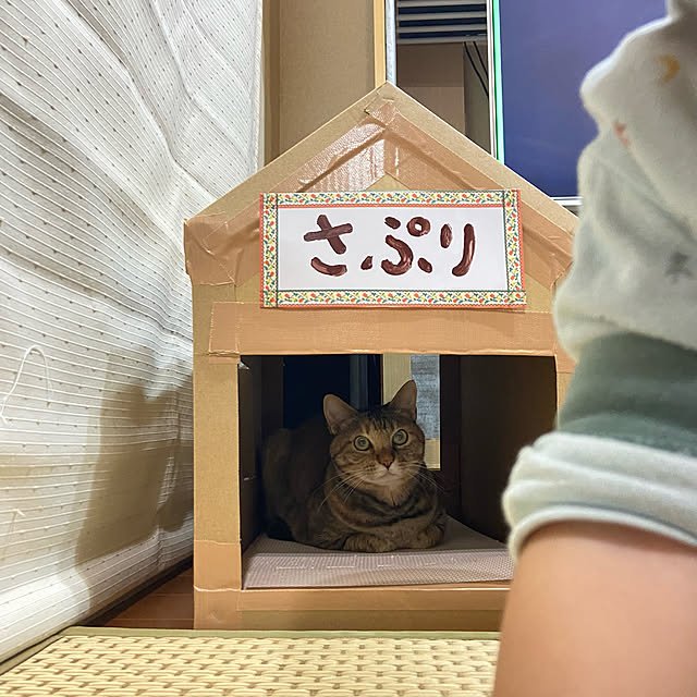 hansho.sさんの実例写真