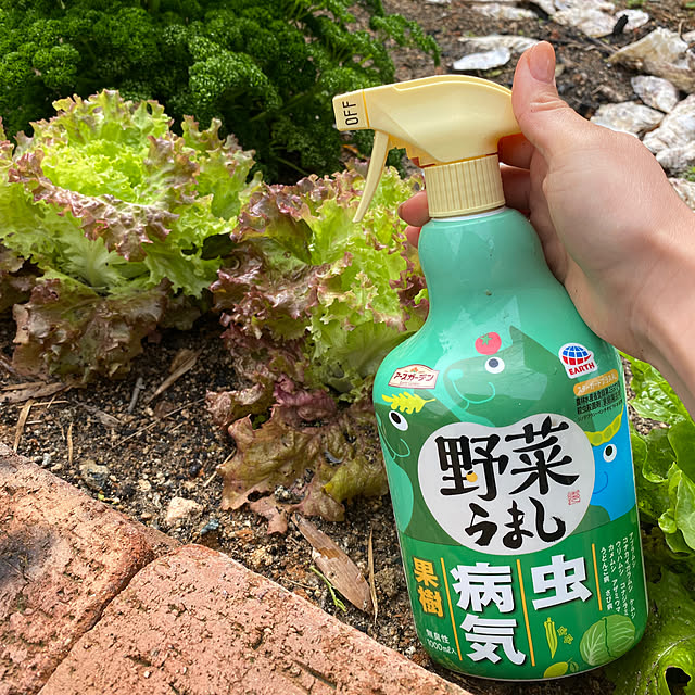 kotaroさんの部屋