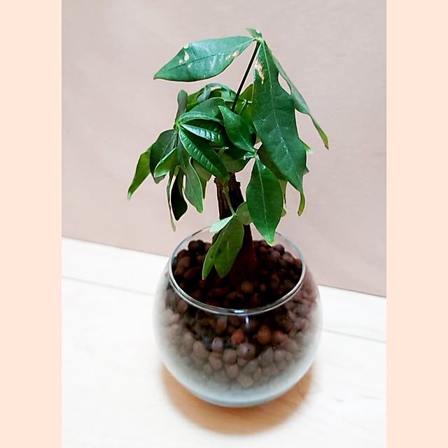 Mutsukiさんの部屋