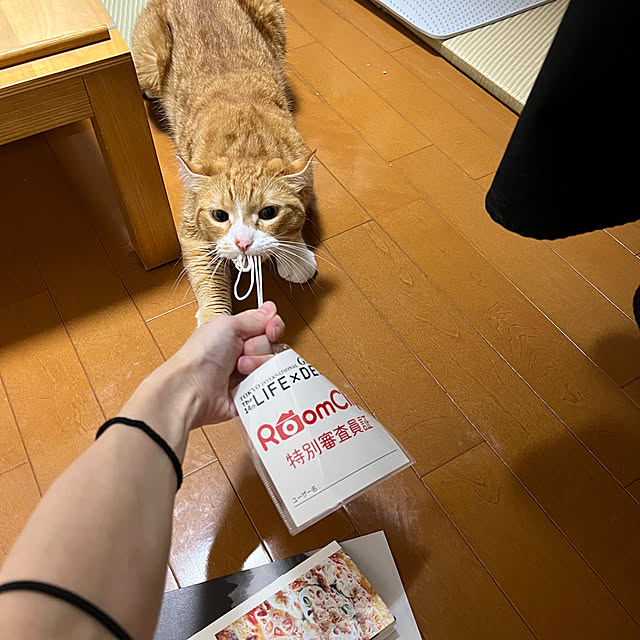 foxcave_nwさんの部屋
