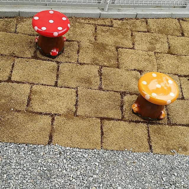 Nanaさんの実例写真