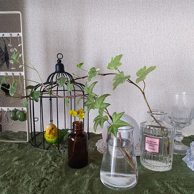 noaさんの実例写真
