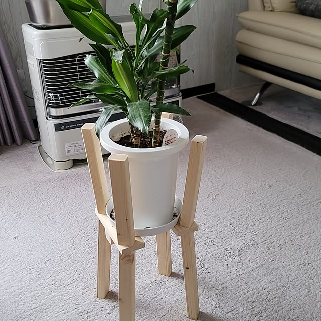 sinさんの実例写真
