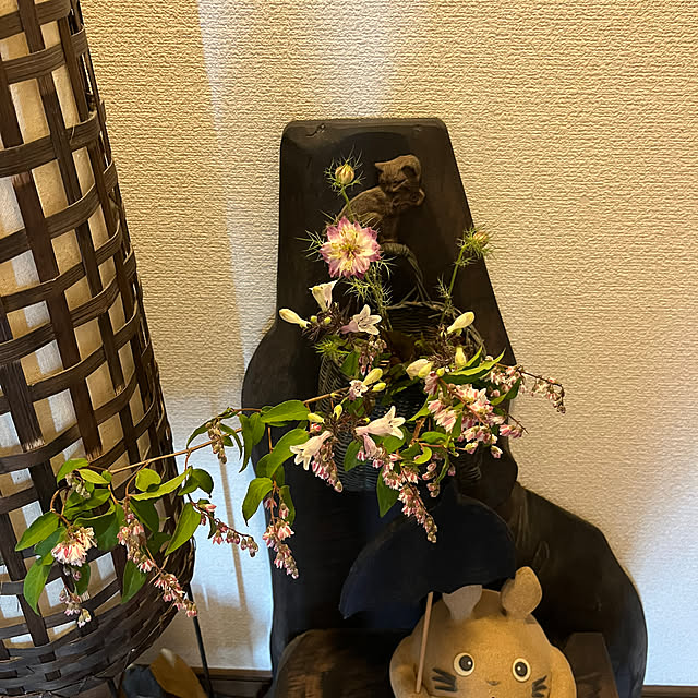 ritsukoさんの部屋
