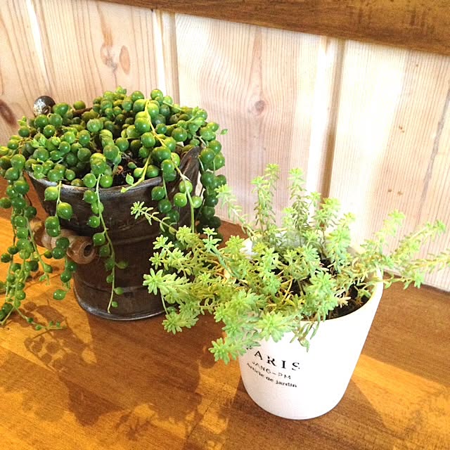 cheshanekoさんの実例写真