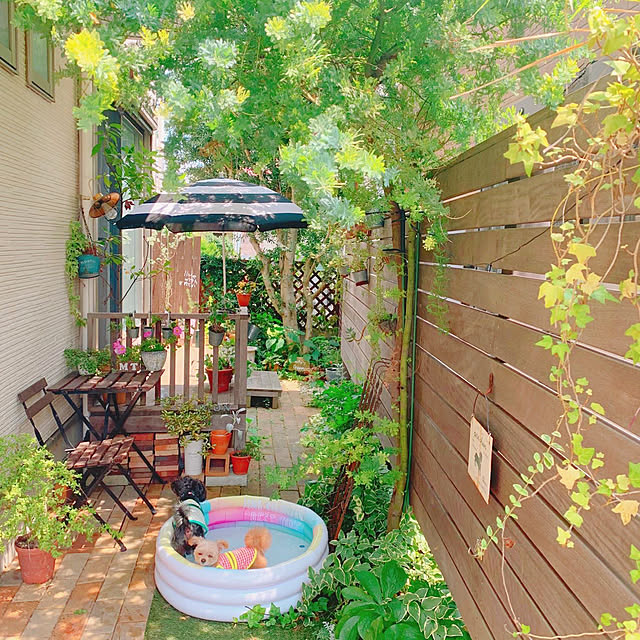 risaさんの実例写真