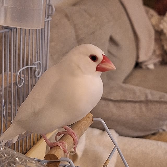 otokiさんの部屋