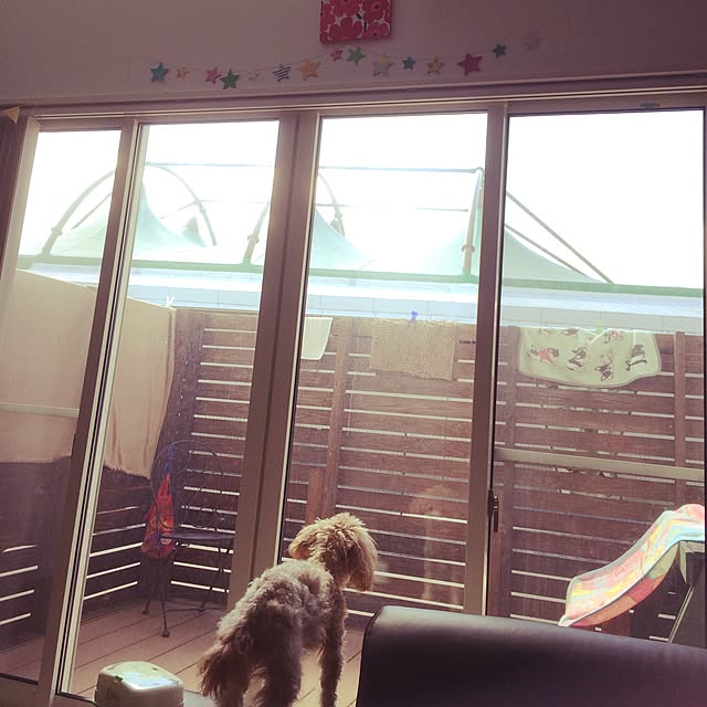 Mizukiさんの実例写真
