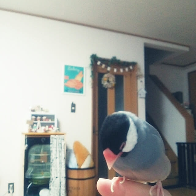 miiさんの実例写真