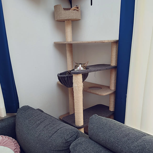 mochicoさんの実例写真