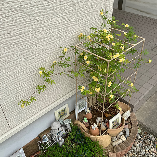 chiiyanさんの部屋