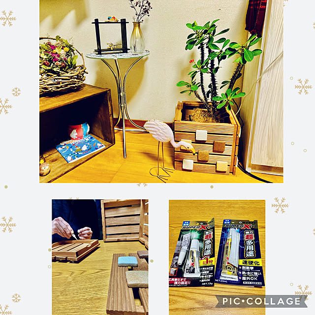 RCの出会いに感謝♡/見てくれてありがとう♡/ダイソー材料で簡単DＩY/100均DIY/植物のある暮らし...などのインテリア実例 - 2022-01-12 21:39:03