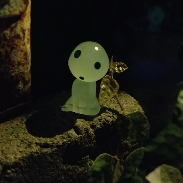 midoriさんの部屋