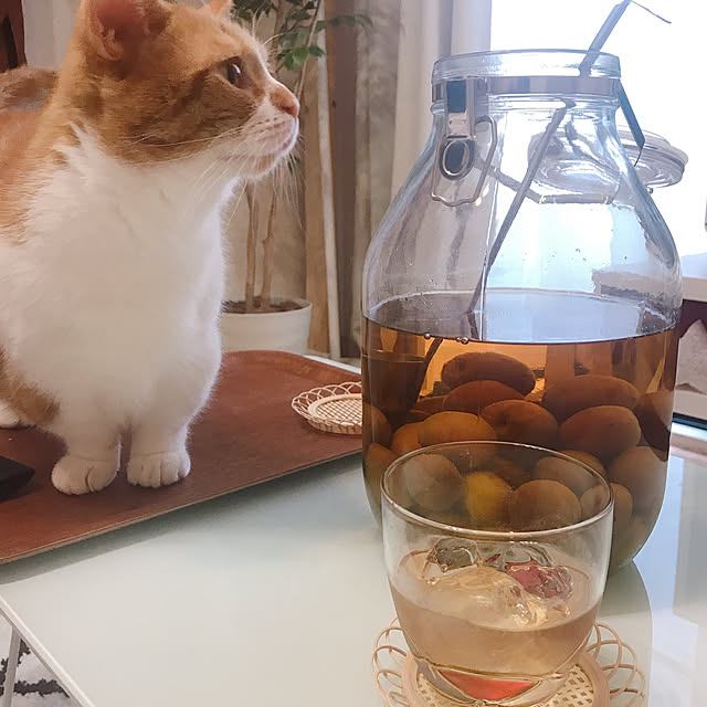 maruさんの実例写真