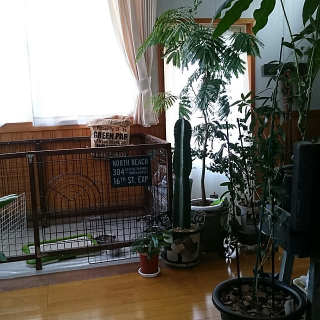 tikuwaさんの実例写真