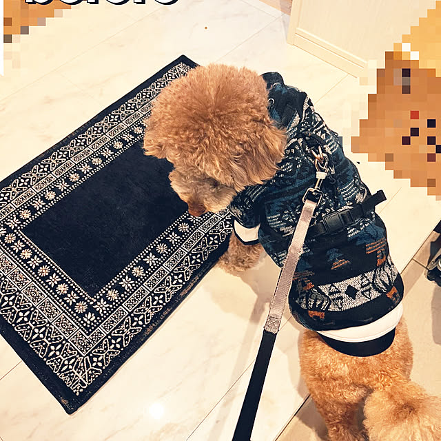 nanさんの実例写真