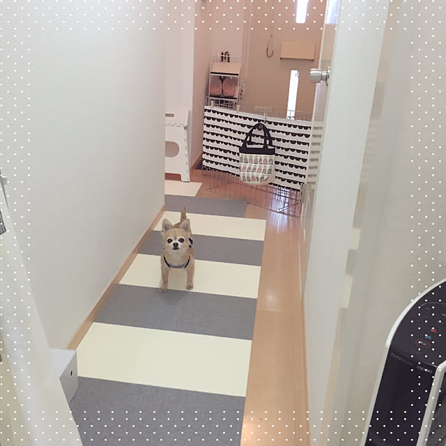 Emiさんの実例写真
