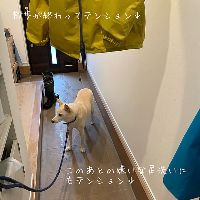 tanboさんの部屋