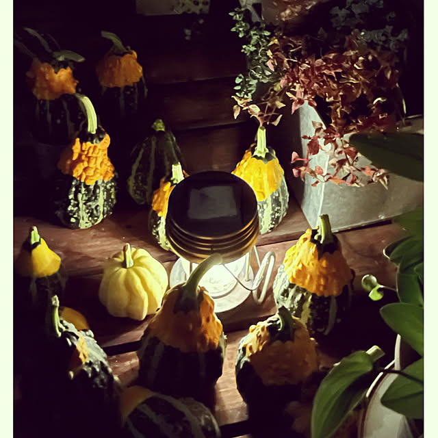 cotaさんの部屋