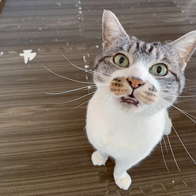 ALPSさんの実例写真