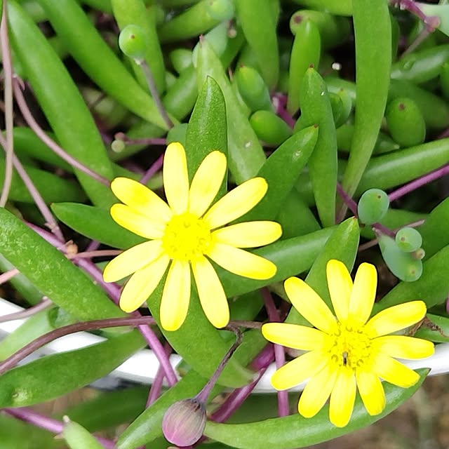 katさんの実例写真