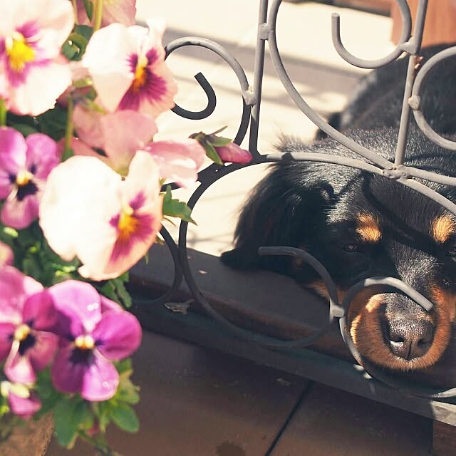 emimekkoさんの実例写真
