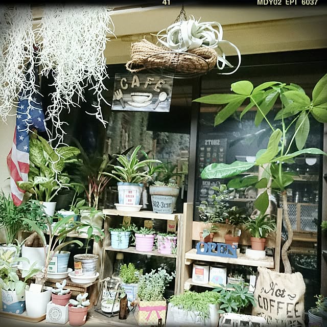 soyuru-mamaさんの実例写真