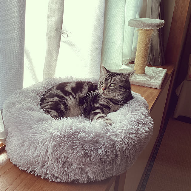 richanさんの実例写真
