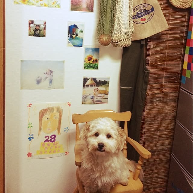 ichichiさんの実例写真