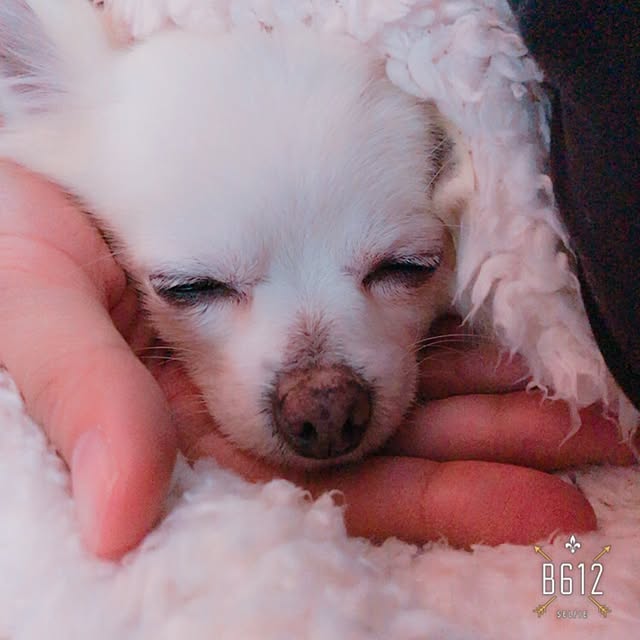 Ayaさんの実例写真
