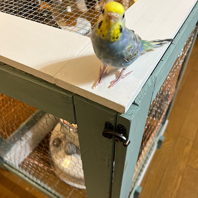 Atsukoさんの部屋