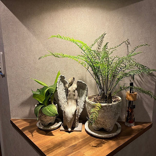 rainmanさんの実例写真