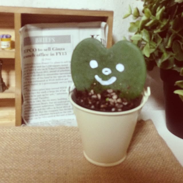 edenさんの実例写真