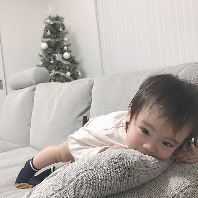 shipooさんの実例写真