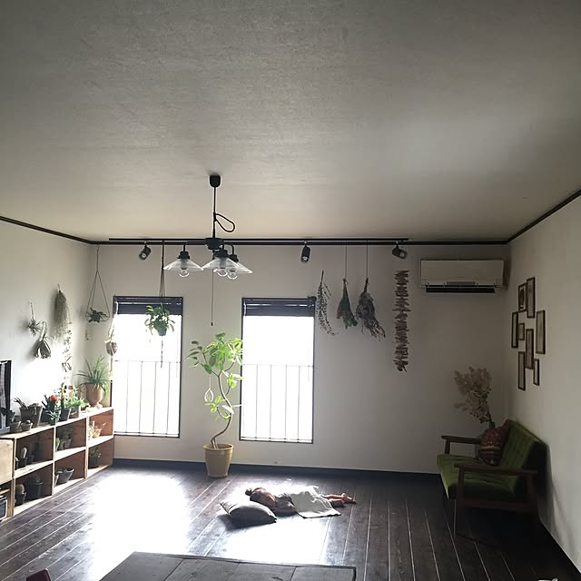 romimushiさんの実例写真