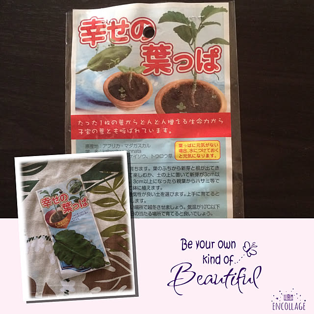bm.aoiさんの実例写真