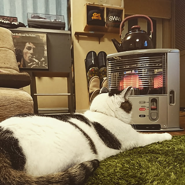 tropical_happy_lifeさんの実例写真
