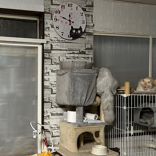 ikunyanさんの部屋