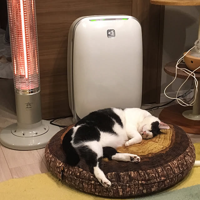 hanaさんの実例写真