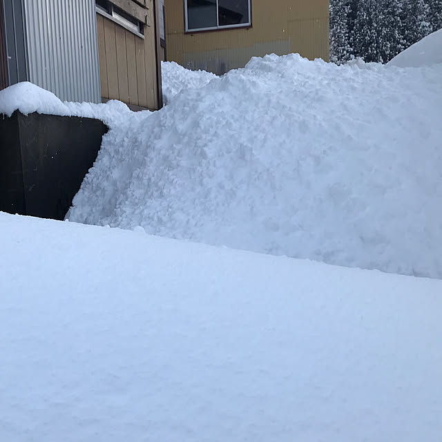 aoinokimiさんの部屋