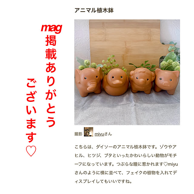 miyuさんの実例写真