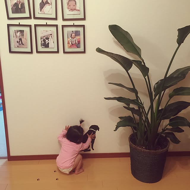 Emiさんの実例写真