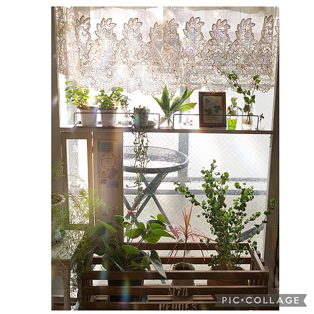 Rinrinfrenchさんの実例写真