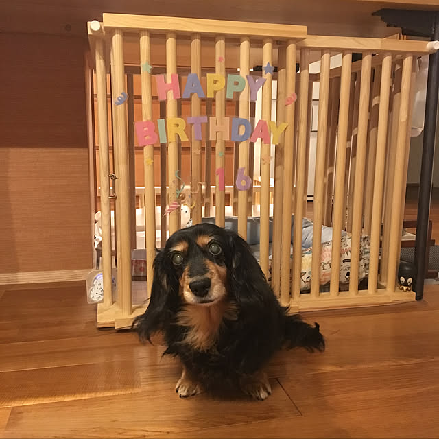 KCFSARさんの実例写真