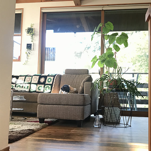 hachi1023さんの実例写真