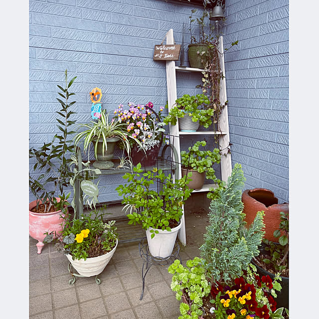 CoCo0617さんの実例写真