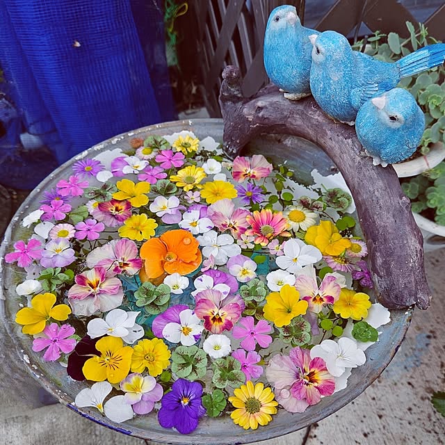 mocomocoさんの実例写真
