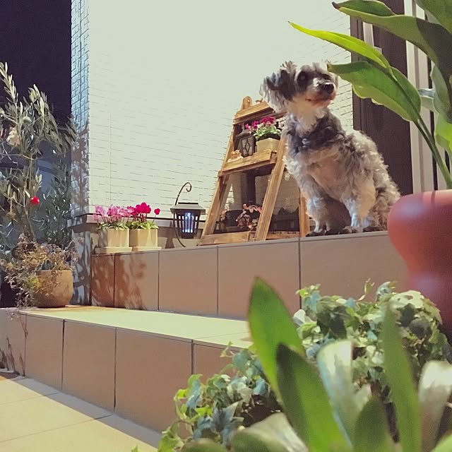 luna.comさんの実例写真