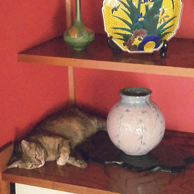 minyan.nekoさんの実例写真
